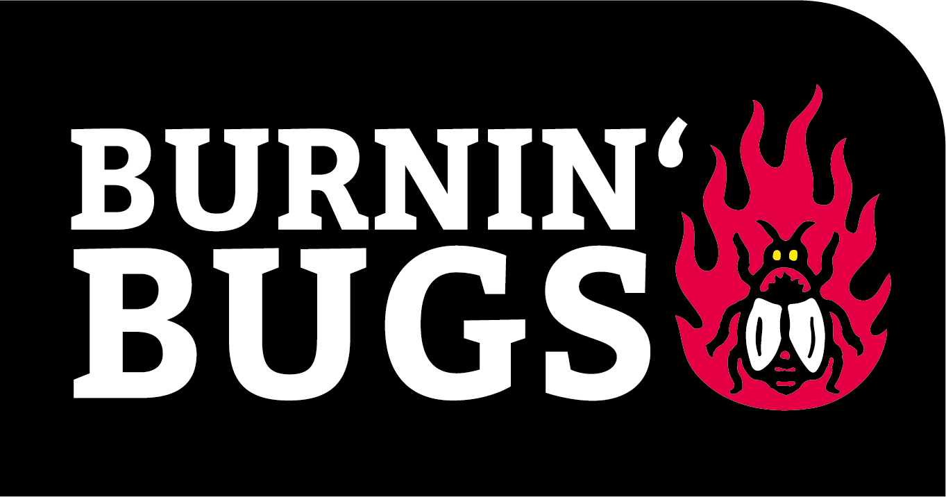 Burnin' Bugs